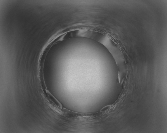 X0000082930150200702222229