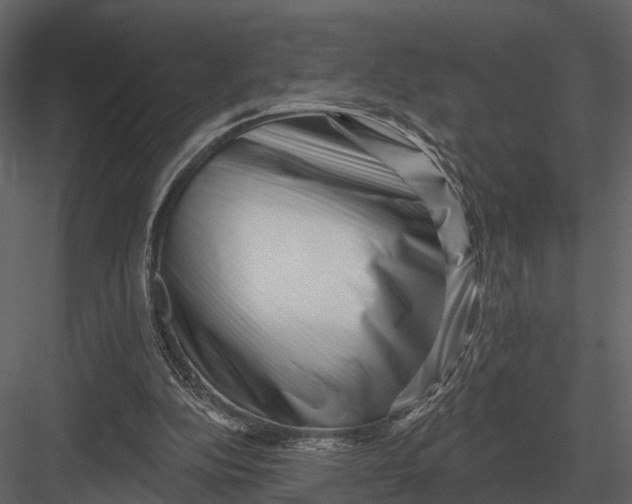 X0000082930152200702222229