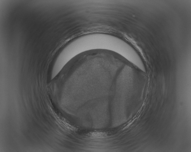 X0000082930154200702222229