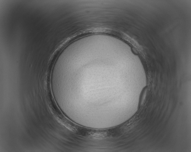 X0000082930155200702222229