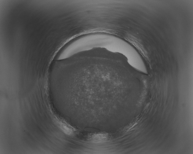 X0000082930156200702222229