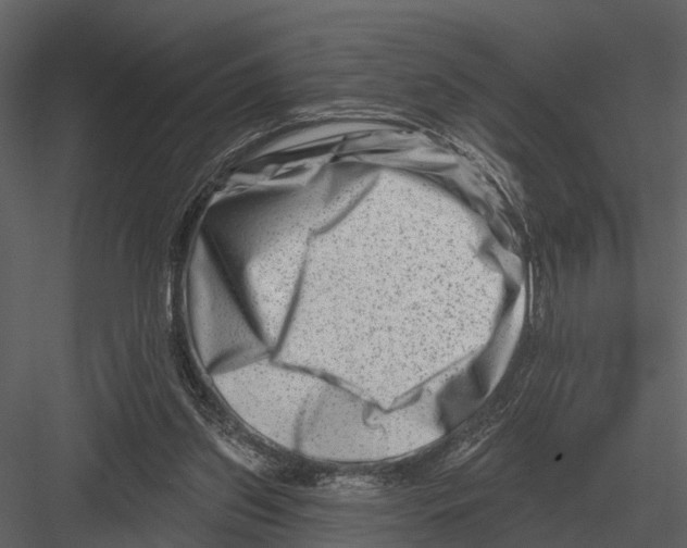 X0000082930157200702222229