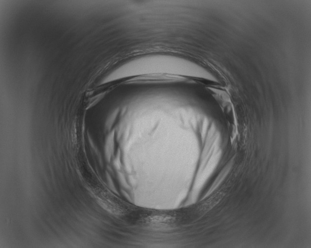 X0000082930158200702222229