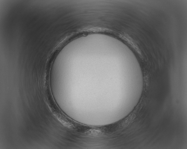 X0000082930159200702222229