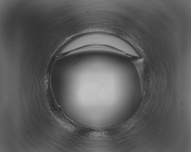 X0000082930160200702222229