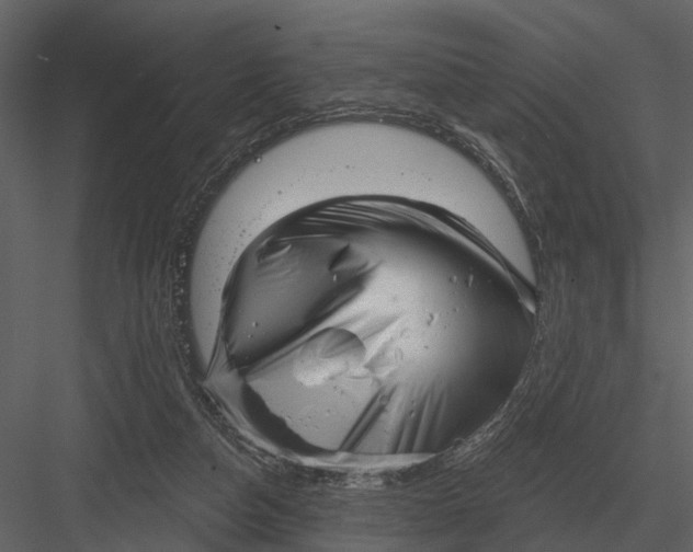 X0000082930162200702222229
