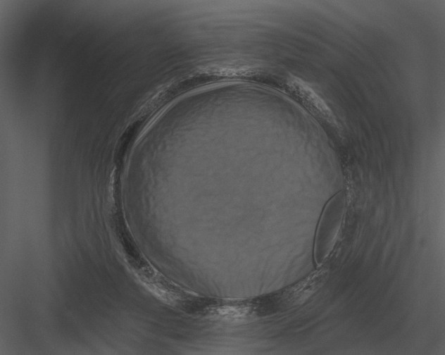 X0000082930163200702222229