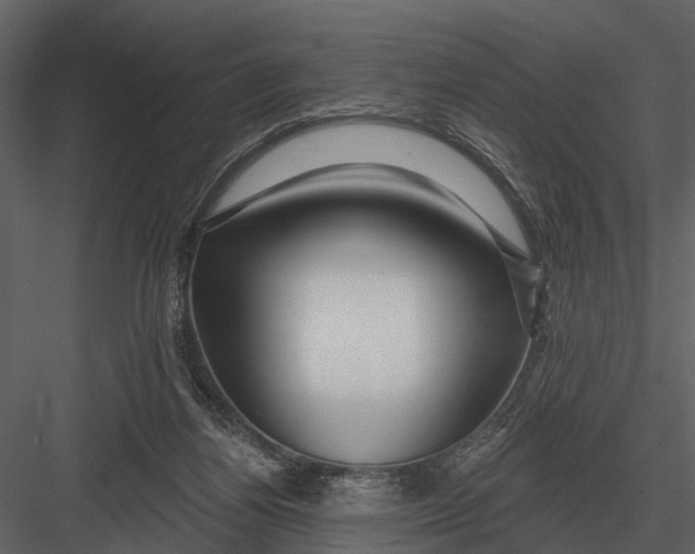 X0000082930164200702222229