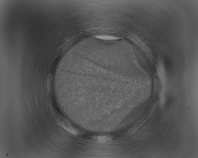 X0000082930165200702222229