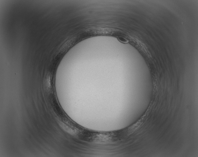 X0000082930166200702222229