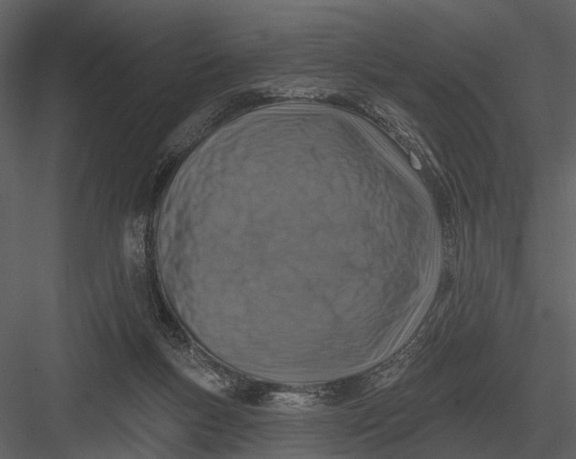 X0000082930167200702222229