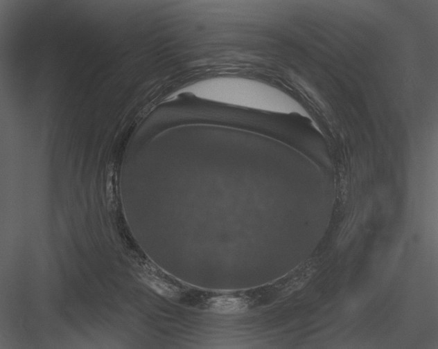 X0000082930169200702222229