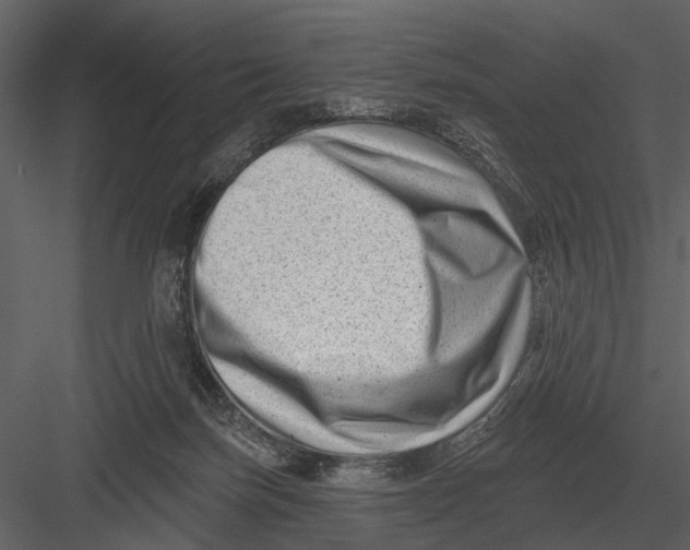 X0000082930171200702222229