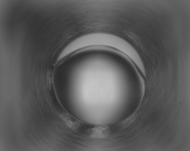 X0000082930172200702222229
