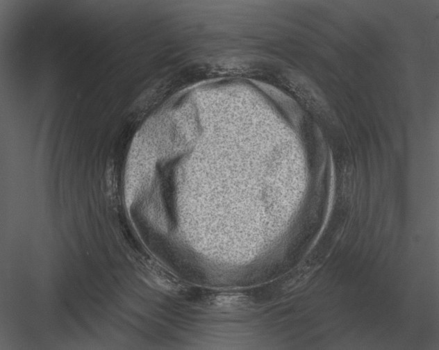 X0000082930173200702222229