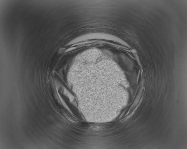 X0000082930174200702222229