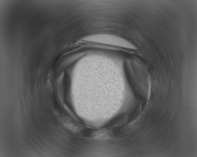 X0000082930175200702222229