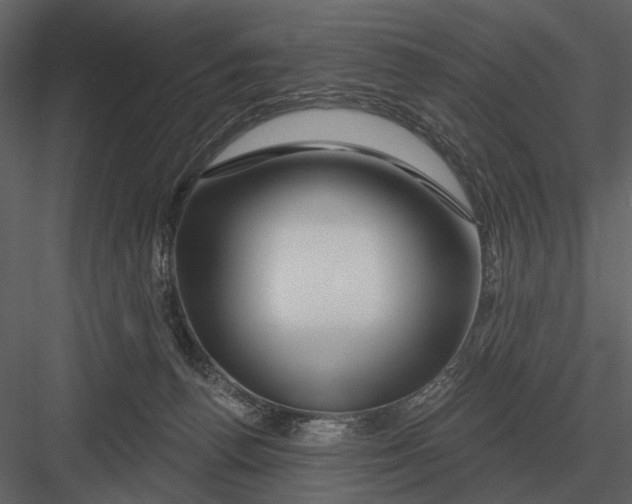 X0000082930176200702222229