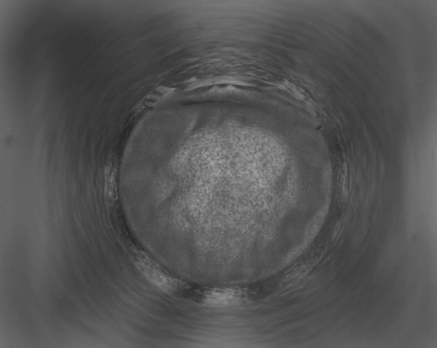 X0000082930177200702222229