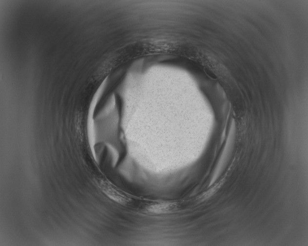 X0000082930178200702222229