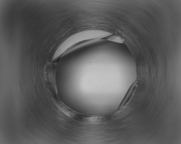 X0000082930184200702222229