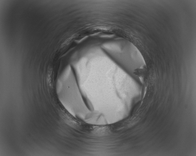 X0000082930185200702222229
