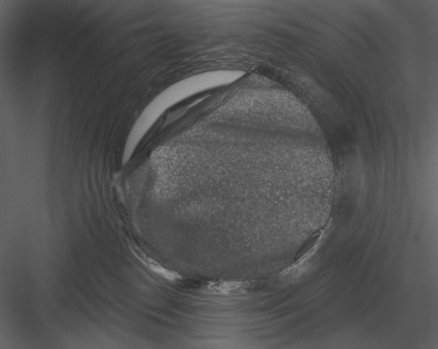 X0000082930186200702222229