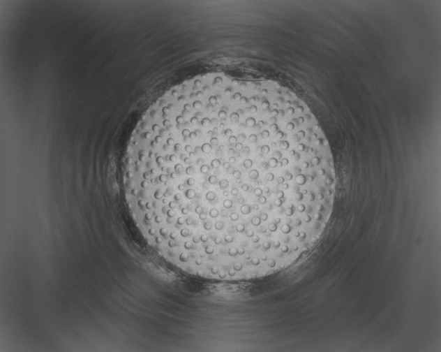 X0000082930187200702222229