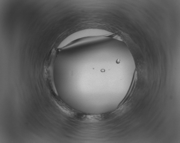 X0000082930188200702222229