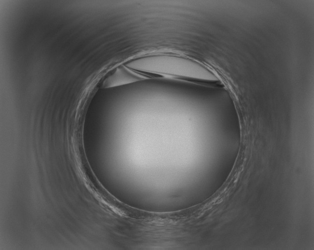 X0000082930193200702222228