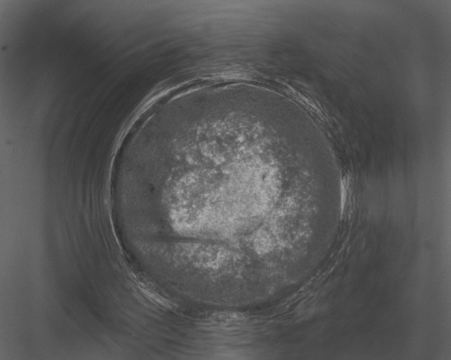 X0000082930195200702222228