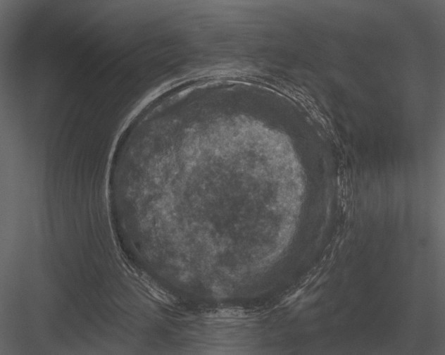 X0000082930196200702222228