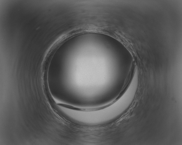 X0000082930197200702222228