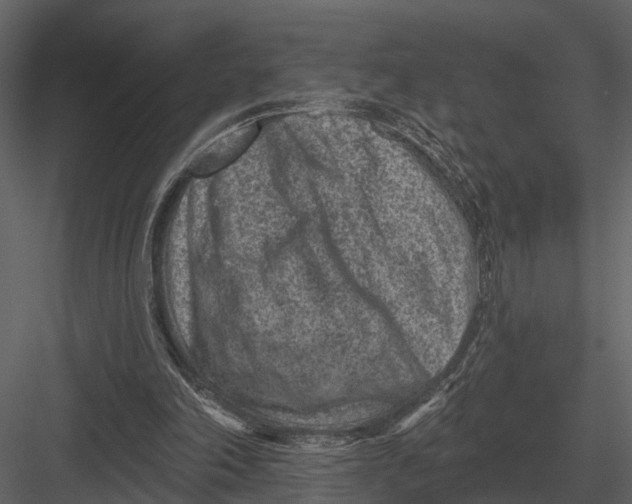 X0000082930198200702222228