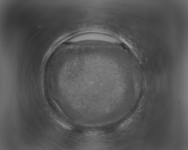 X0000082930199200702222228