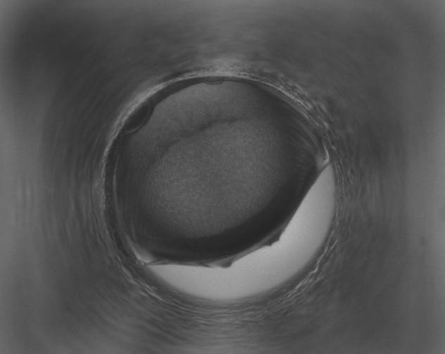 X0000082930200200702222228