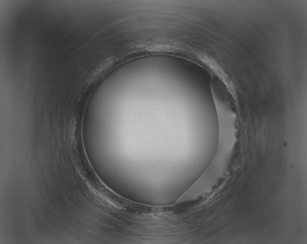 X0000082930201200702222228