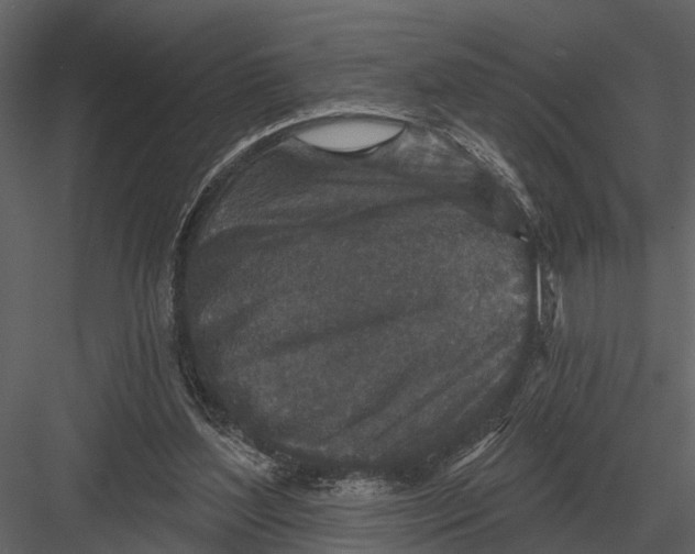 X0000082930204200702222228