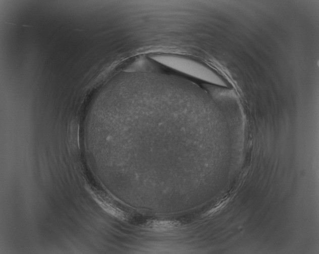 X0000082930205200702222228