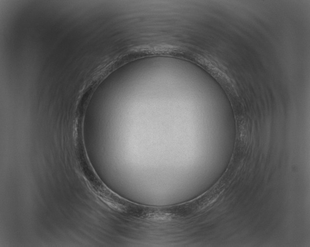 X0000082930206200702222228