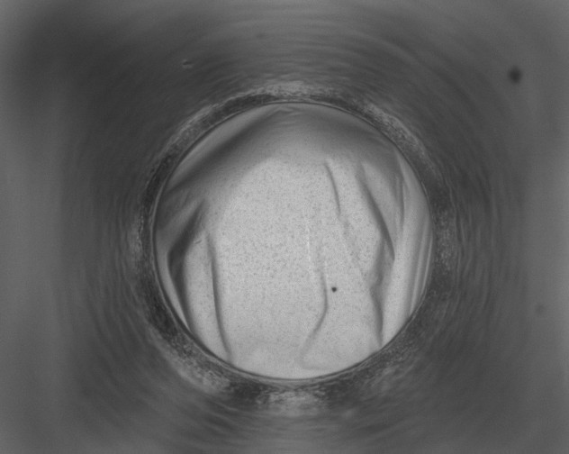 X0000082930208200702222228