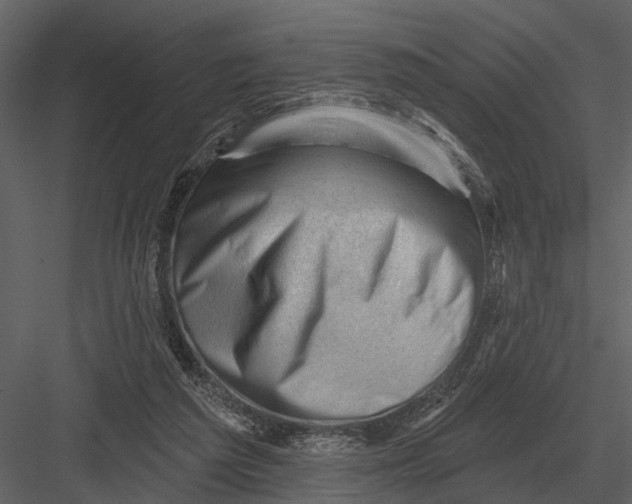 X0000082930209200702222228