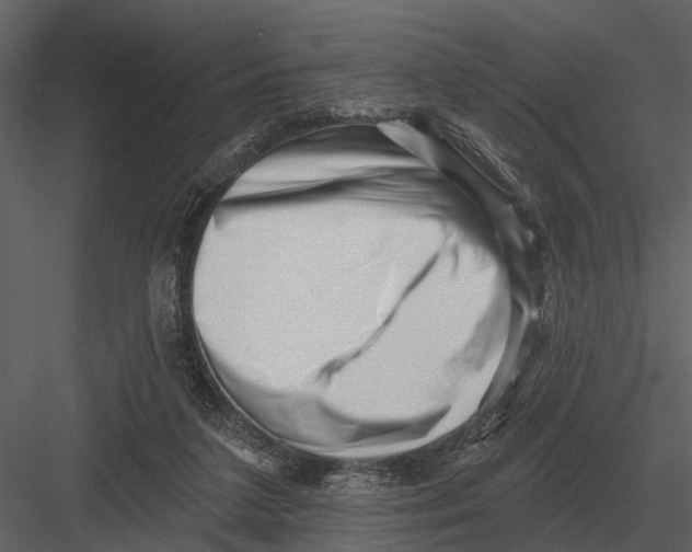 X0000082930211200702222228