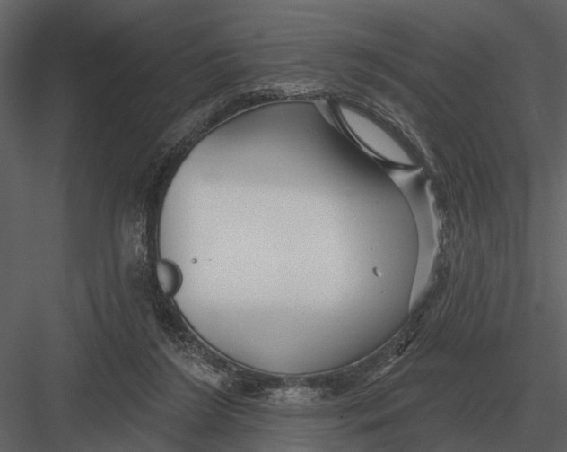 X0000082930212200702222228