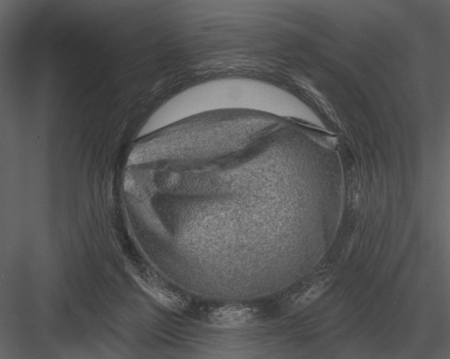 X0000082930213200702222228