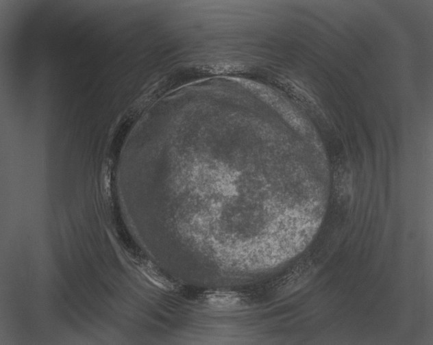 X0000082930214200702222228