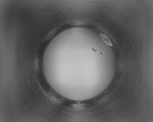 X0000082930216200702222228