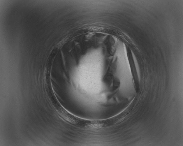 X0000082930217200702222228