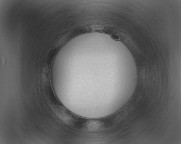 X0000082930218200702222228