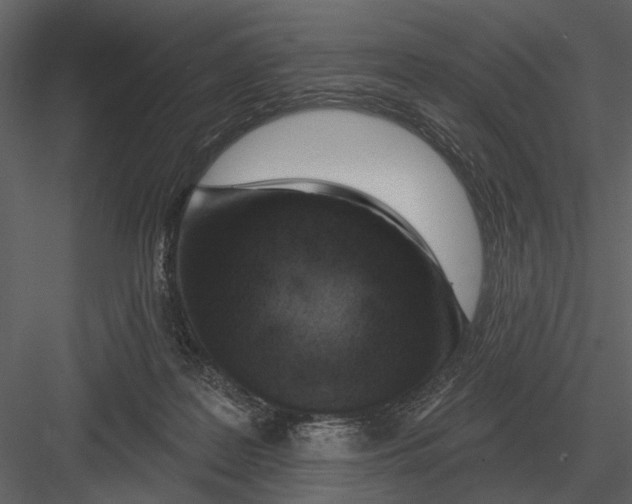 X0000082930219200702222228